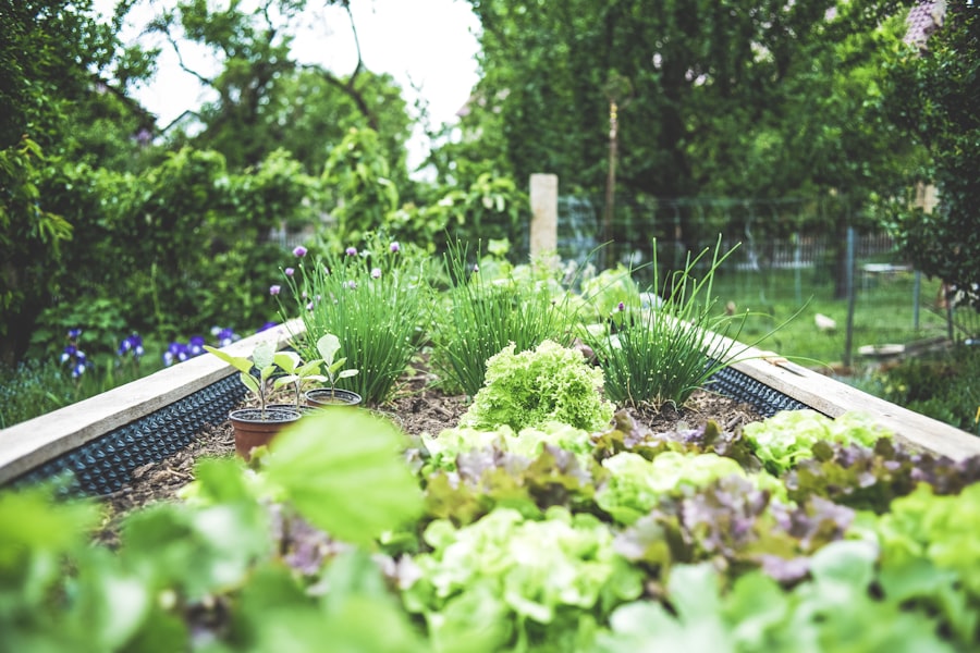 Jardinería